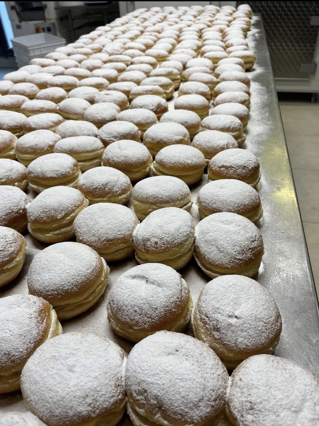 Bomboloni appena fritti spolverati di zucchero a velo, in fila sul banco del laboratorio