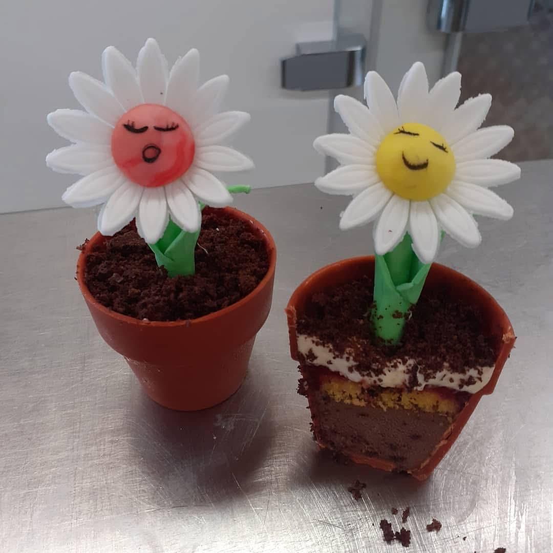 Dolci a forma di vaso con margherite di zucchero